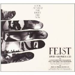 Feist : Look at what the Light Did Now
